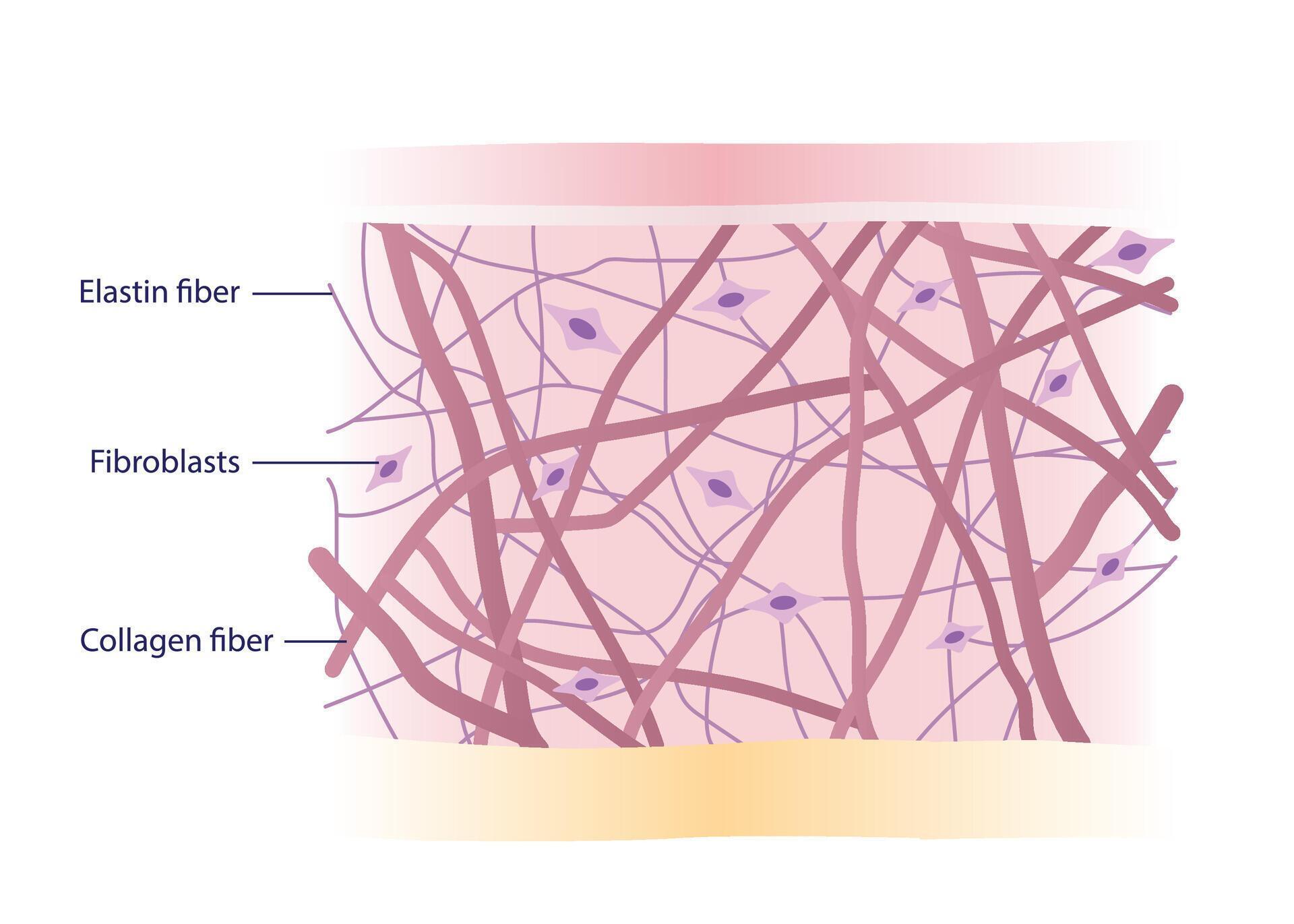 El Secreto del Tretinoin: ¿Por Qué Está Revolucionando el Cuidado de la Piel?